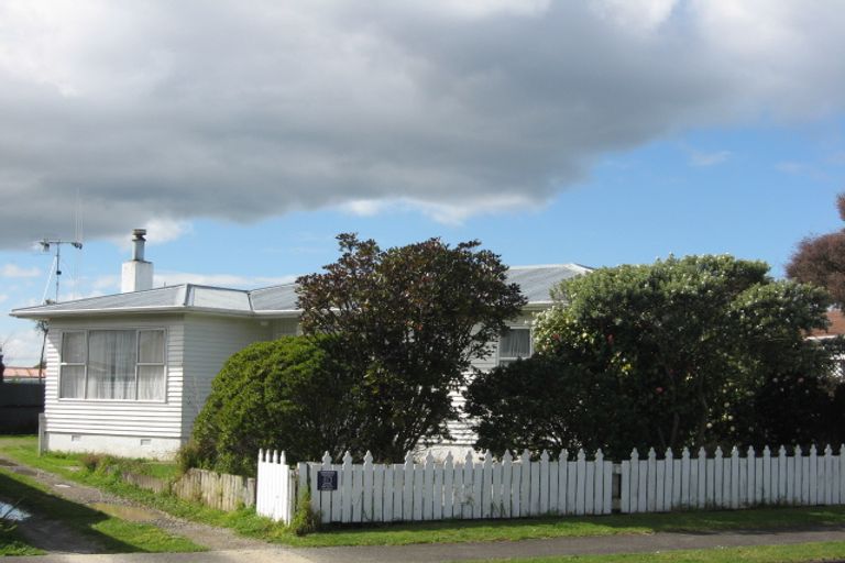 Photo of property in 3 Braemar Street, Levin, 5510