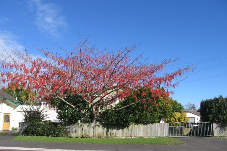 Photo of property in 1 Steele Road, Forest Lake, Hamilton, 3200