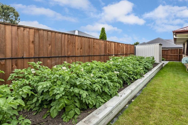 Photo of property in 92 Acacia Avenue, Rangiora, 7400