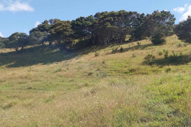 Photo of property in 1762 Kohumaru Road, Peria, Kaitaia, 0482