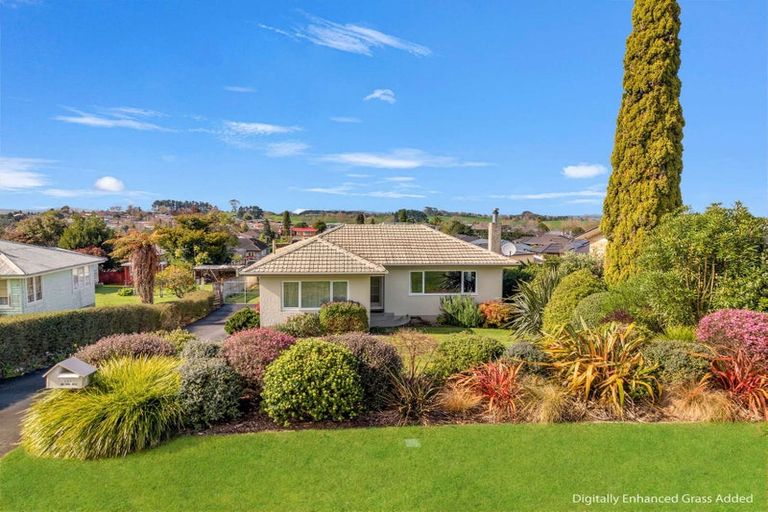 Photo of property in 205 Te Tomo Street, Te Awamutu, 3800