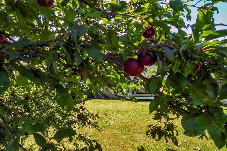 Photo of property in 23 Witham Street, Oamaru North, Oamaru, 9400