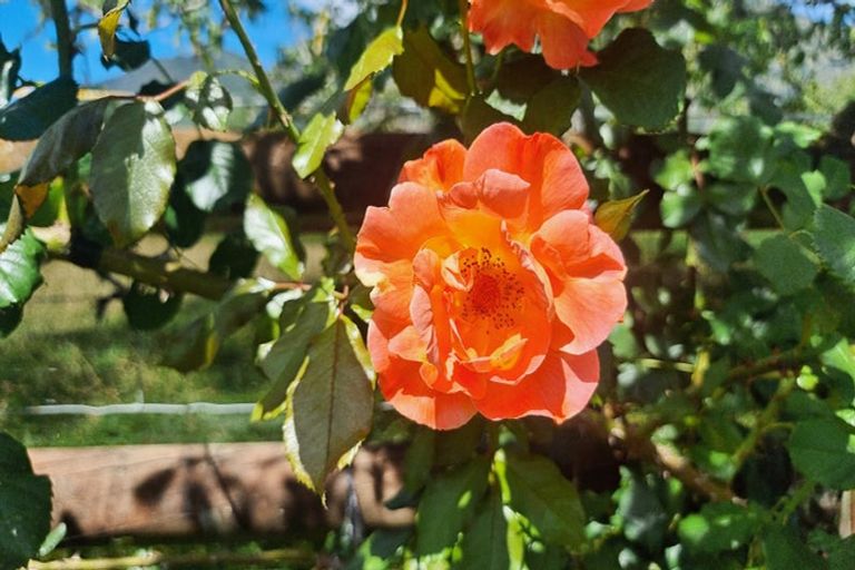 Photo of property in 92 Packard Road, Motupipi, Takaka, 7183