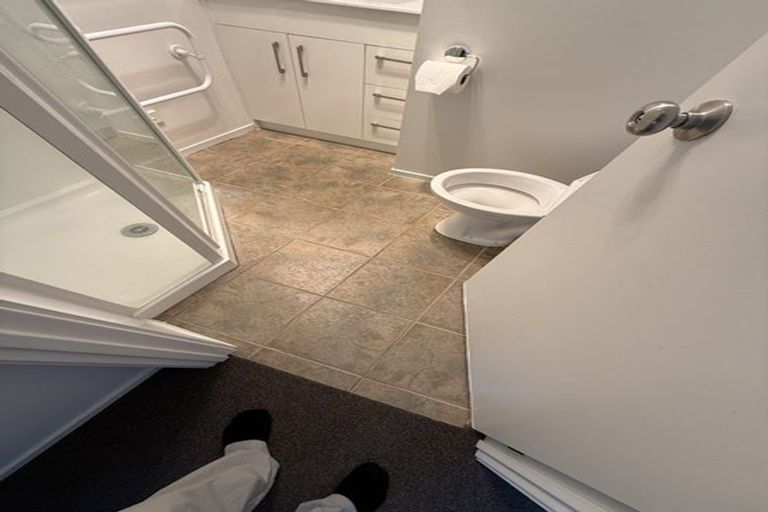 Photo of property in 14 Innisowen Place, Flat Bush, Auckland, 2019