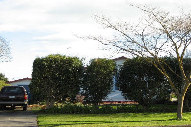 Photo of property in 418 Hemi Street, Raureka, Hastings, 4120