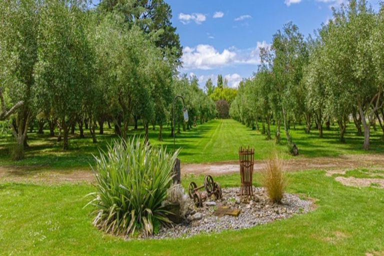 Photo of property in 274 High Street North, Carterton, 5713