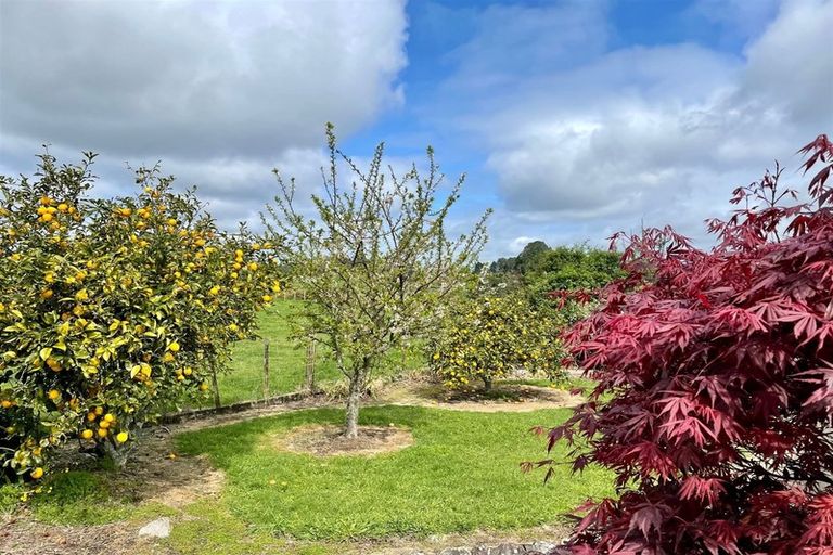 Photo of property in 646 Omanawa Road, Omanawa, Tauranga, 3171