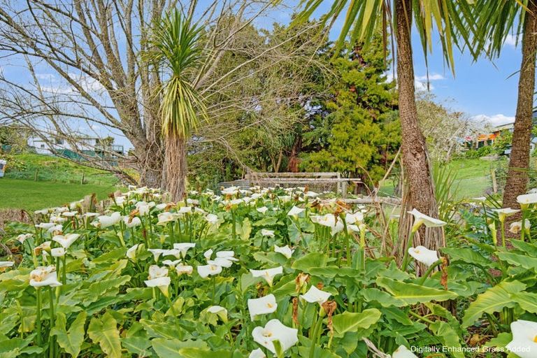 Photo of property in 43 Woodlands Road, Opotiki, 3122