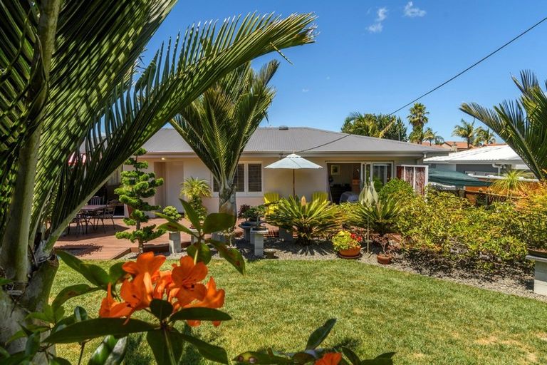 Photo of property in 19 Briarley Street, Tauranga South, Tauranga, 3112