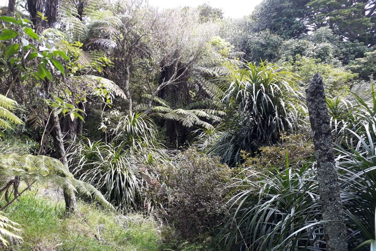 Photo of property in 296 Devich Road, Mangawhai, Kaiwaka, 0573