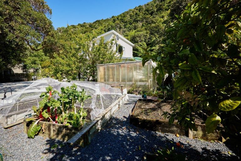 Photo of property in 1824 State Highway 1, Oaro, Kaikoura, 7374