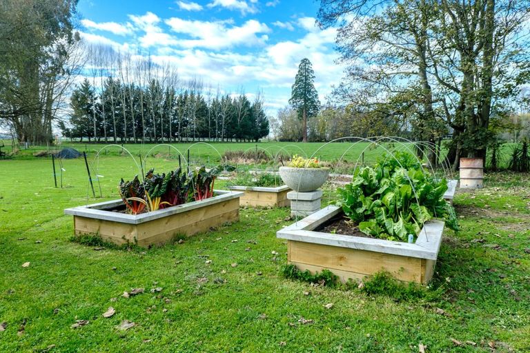 Photo of property in 51 Tancred Street, Geraldine, 7930