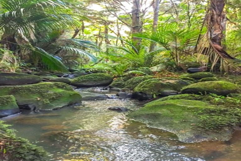 Photo of property in 420 Mangakura Road, Helensville, 0875