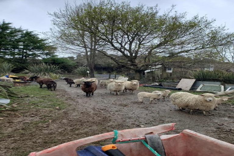 Photo of property in 482 Krippner Road, Puhoi, Warkworth, 0994