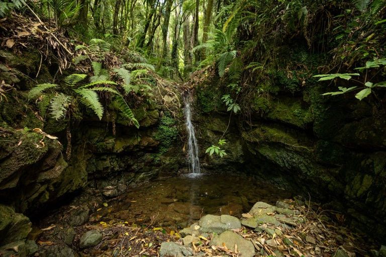 Photo of property in 185 Kanuka Rise, Wakapuaka, Nelson, 7071