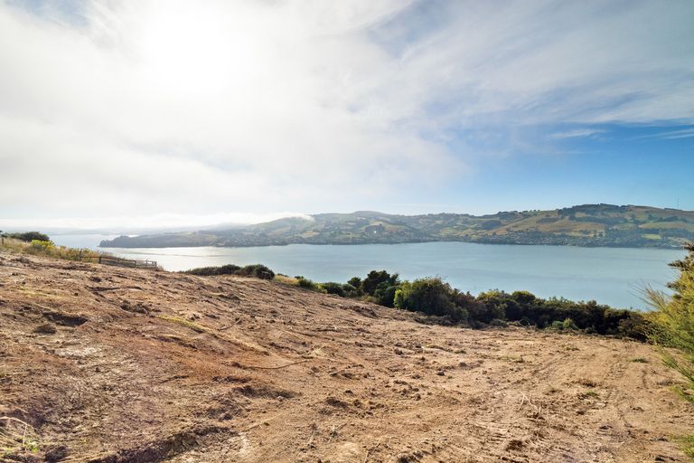 Photo of property in 65 Kakapo Street, Saint Leonards, Dunedin, 9022