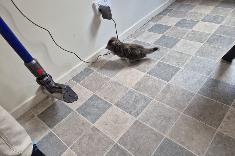 Photo of property in 57b Sabulite Road, Kelston, Auckland, 0602