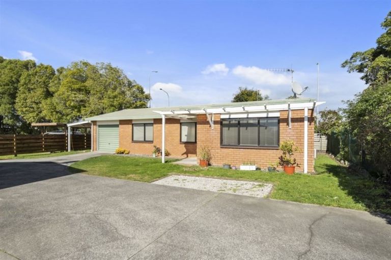 Photo of property in 54 Tutauanui Crescent, Maungatapu, Tauranga, 3112