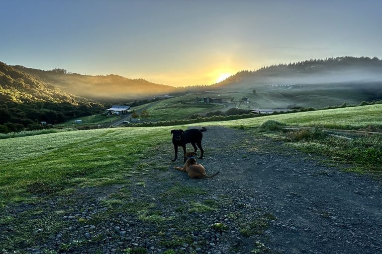 Photo of property in 88 Cameron Way, Makarau, Kaukapakapa, 0873