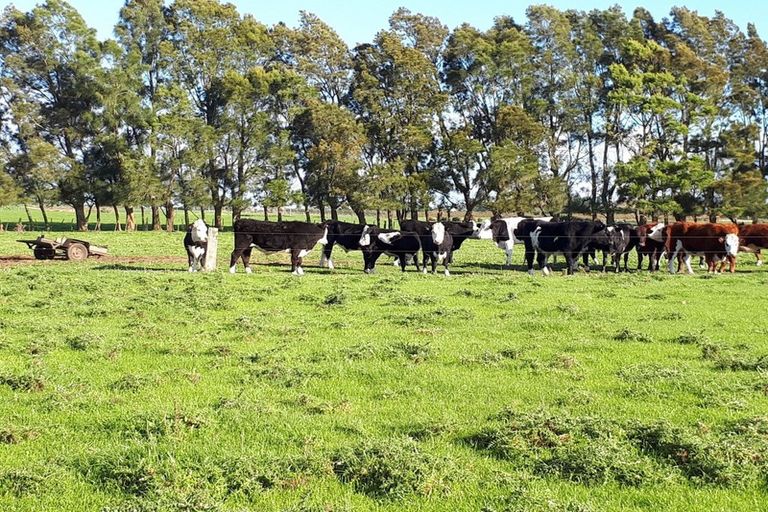 Photo of property in 68 Otaraoa Road, Motunui, Waitara, 4383