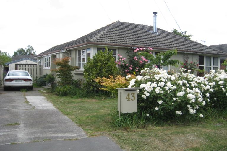 Photo of property in 43 Joy Street, Shirley, Christchurch, 8061
