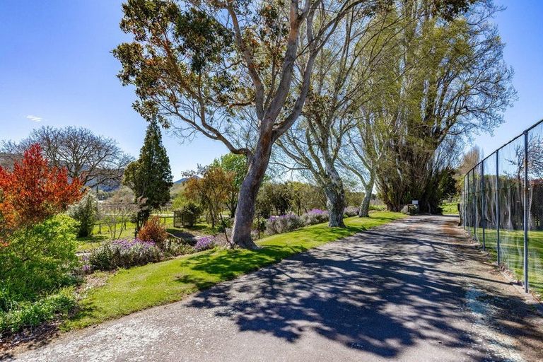Photo of property in 189 Selmes Road, Rapaura, Blenheim, 7273