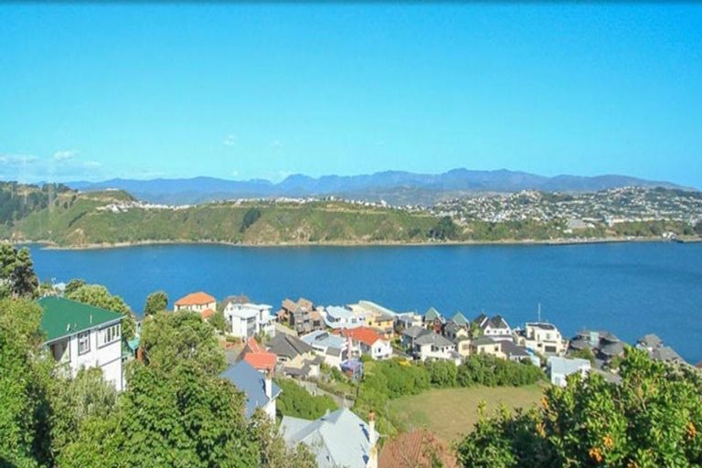 Photo of property in 6 Peranga Terrace, Hataitai, Wellington, 6021