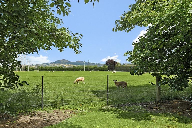 Photo of property in 17 Wairongoa Road, North Taieri, Mosgiel, 9092