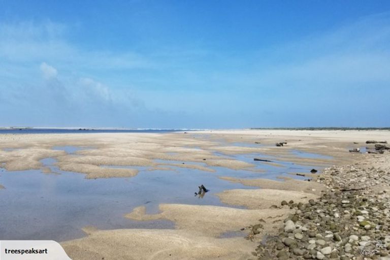 Photo of property in 242 Arapito Road, Karamea, 7893