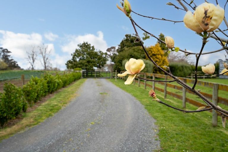 Photo of property in 3/88 Lamb Street, Leamington, Cambridge, 3495