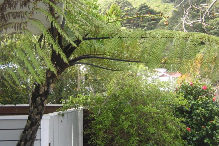 Photo of property in 201 Pembroke Road, Wilton, Wellington, 6012