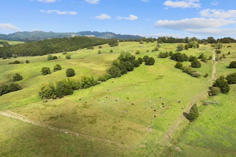 Photo of property in 53 Nursery Lane, Papamoa, 3118