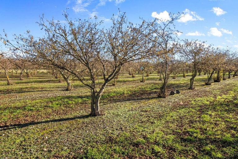 Photo of property in 32 Laings Road, Tinwald, Ashburton, 7775