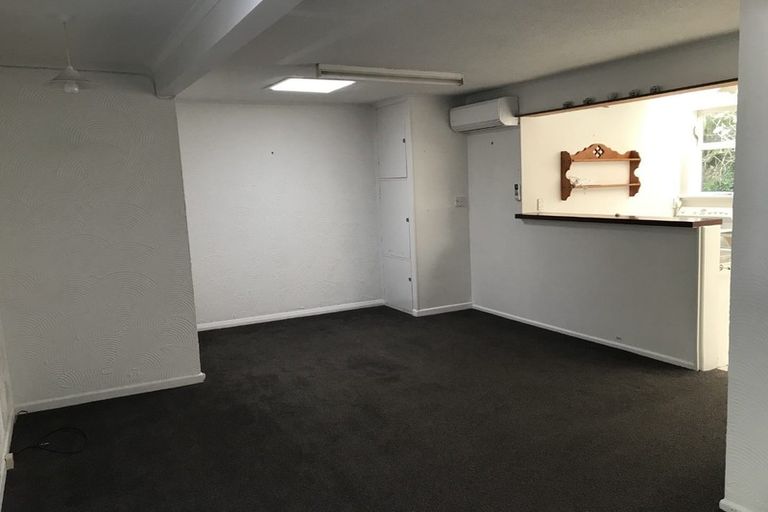 Photo of property in 341 Ohiro Road, Brooklyn, Wellington, 6021