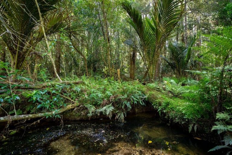 Photo of property in 136 Knight Road, Ruatangata West, Whangarei, 0176