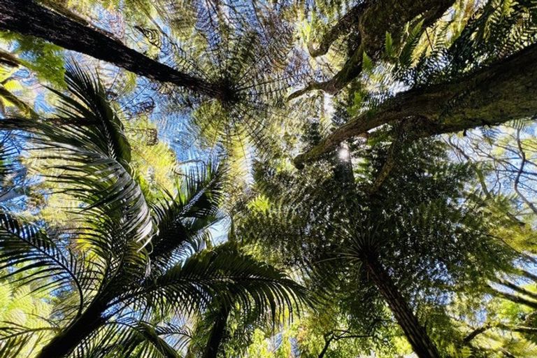 Photo of property in 877 Tiki Quarry Road, Preece Point, Coromandel, 3581