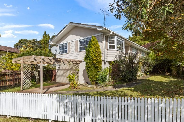 Photo of property in 53 Trias Road, Totara Vale, Auckland, 0629