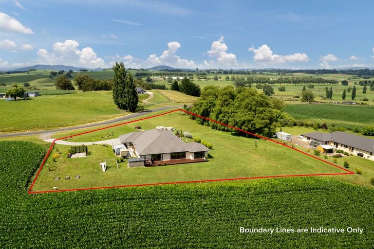 Photo of property in 43 Ellicott Road, Parawera, Te Awamutu, 3879