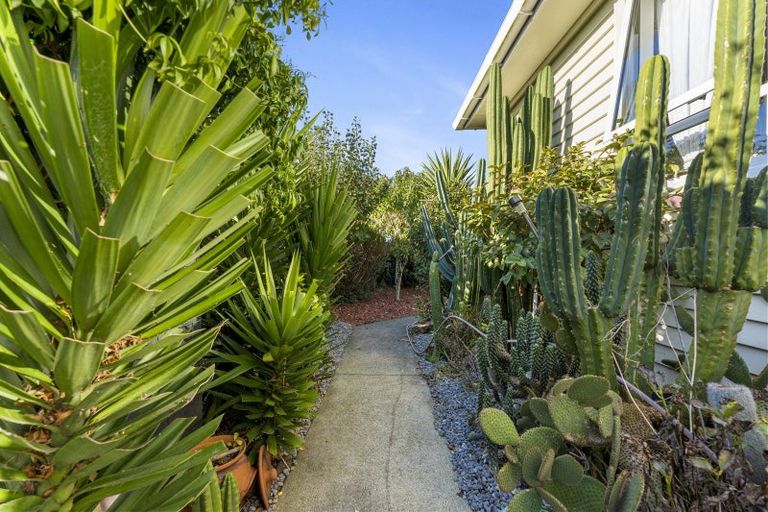 Photo of property in 12 Collins Street, Gonville, Whanganui, 4501