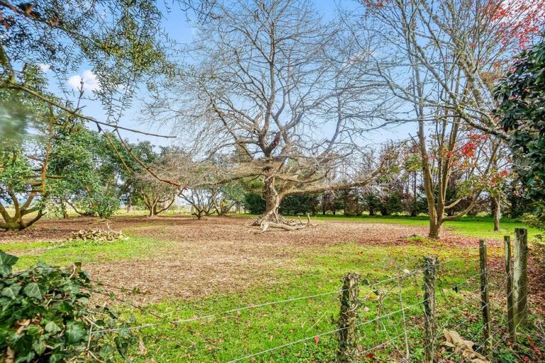 Photo of property in 4790 State Highway 12, Kaikohe, 0473