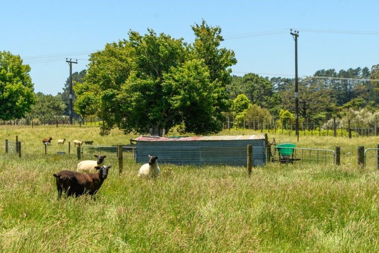 Photo of property in 41 Walter Henry Drive, Omanawa, Tauranga, 3171