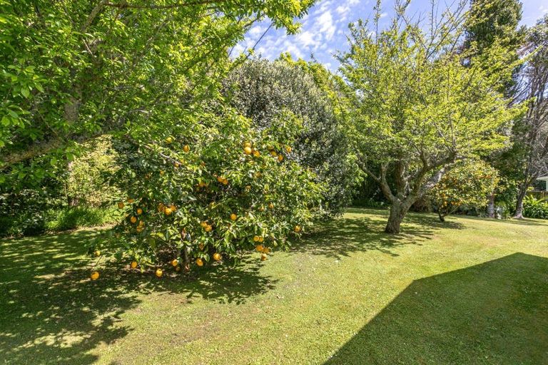 Photo of property in 36a Mako Avenue, Whiritoa, Whangamata, 3691