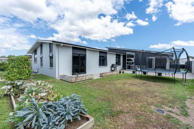 Photo of property in 224 Cumberland Drive, Flagstaff, Hamilton, 3210