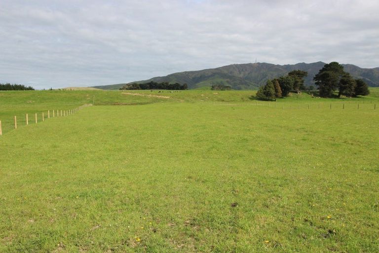 Photo of property in 619 Pinfold Road, Papatawa, 4998