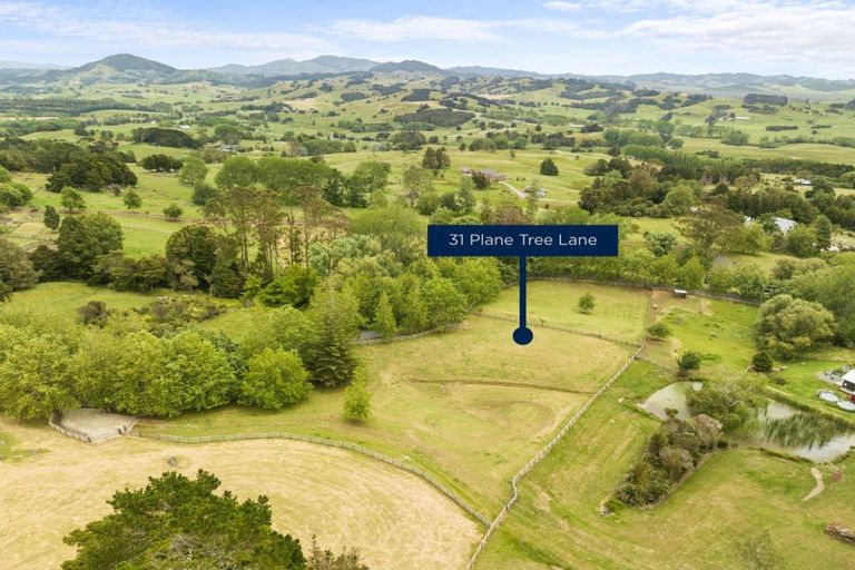 Photo of property in 31 Plane Tree Lane Lane, Ruatangata West, 0185