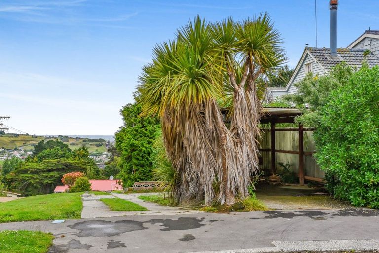 Photo of property in 28 Puketai Street, Andersons Bay, Dunedin, 9013