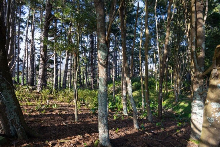 Photo of property in 86 Williams Road, Tokomaru, Palmerston North, 4474