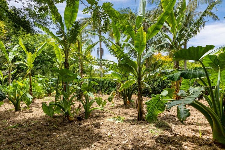 Photo of property in 6987 State Highway 1, Kaitaia, 0482