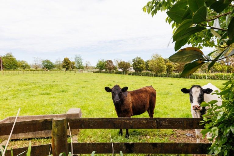 Photo of property in 279 Tararua Road, Levin, 5571