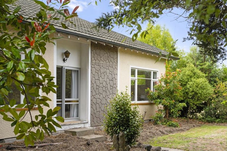 Photo of property in 74 Waimakariri Road, Harewood, Christchurch, 8051